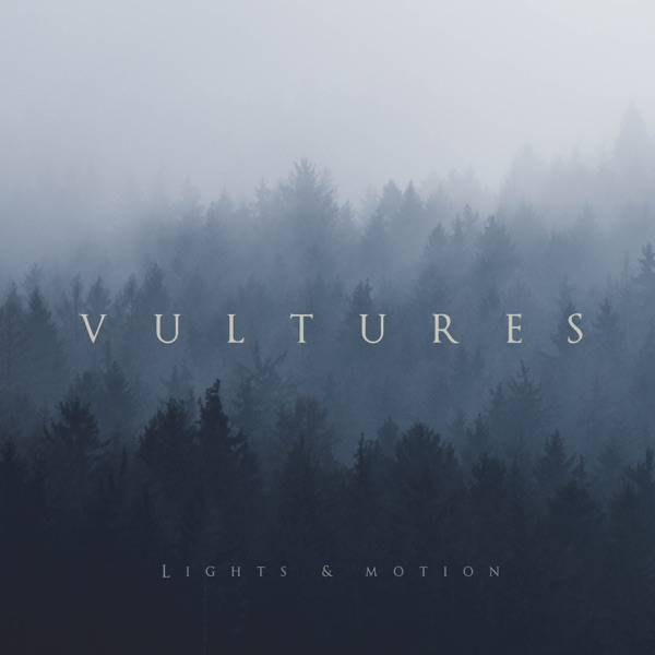 Vultures - Single album cover