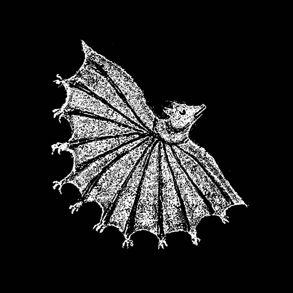 Ignore Grief album cover