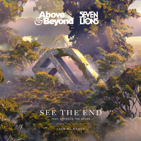 See the End (Avoure Remix) [feat. Opposite the Other] - Single album cover