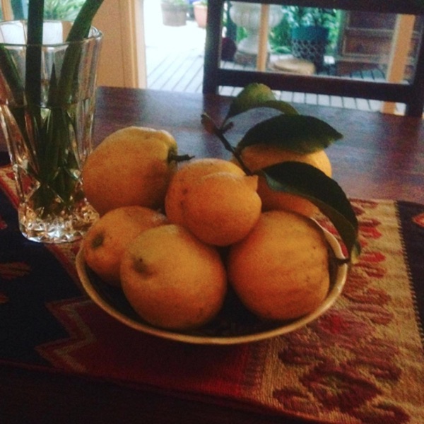 Fill the Bathtubs, Turn Off the Lights and Brace for the New Millennium album cover