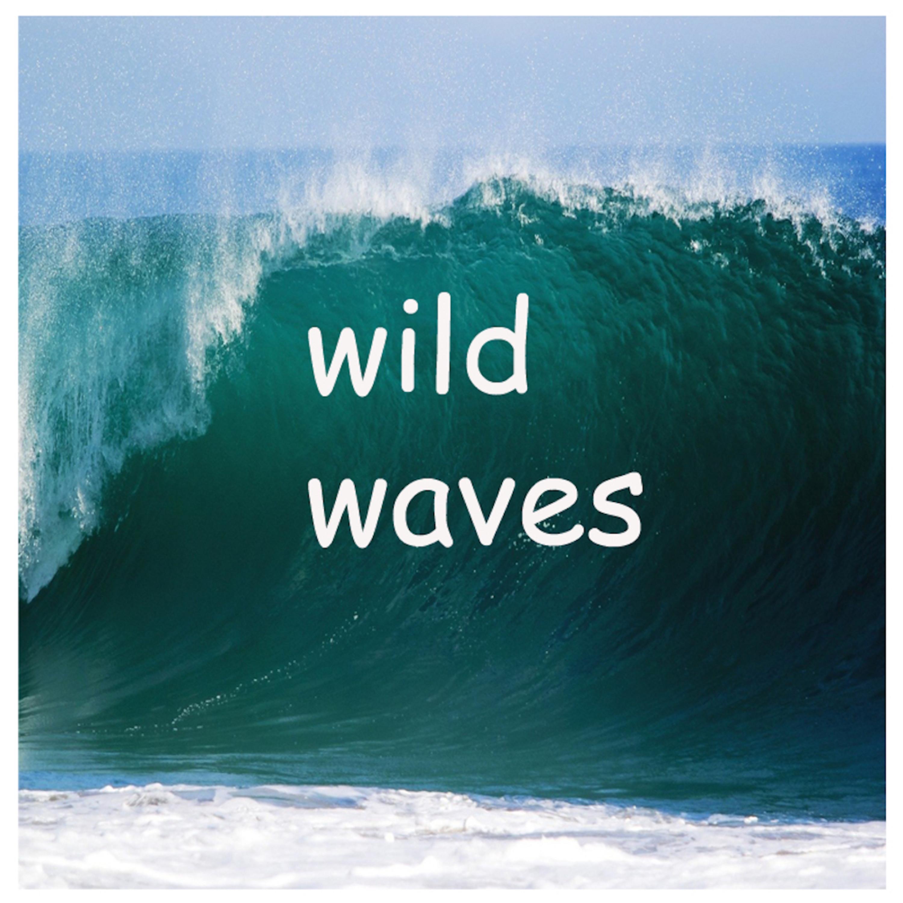 Wild Waves - Single album cover