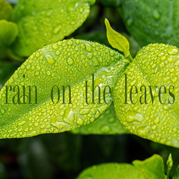 Rain on the Leaves album cover