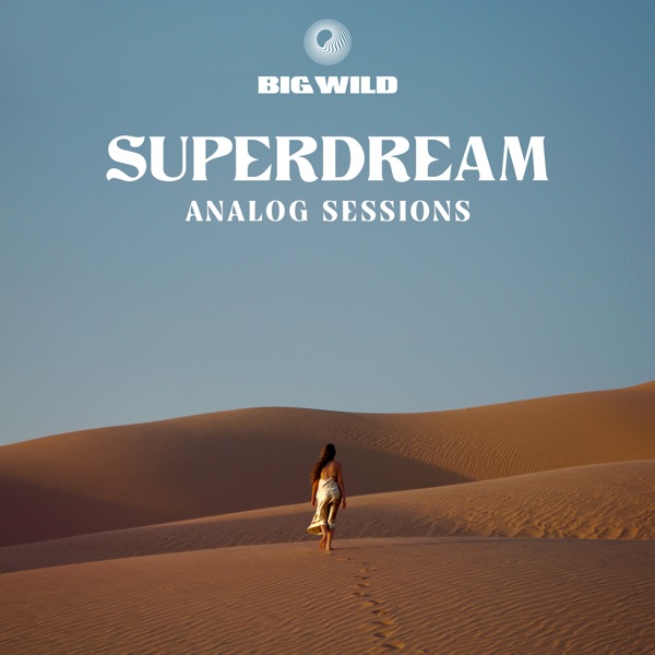 No Words (Analog Sessions) - Single album cover