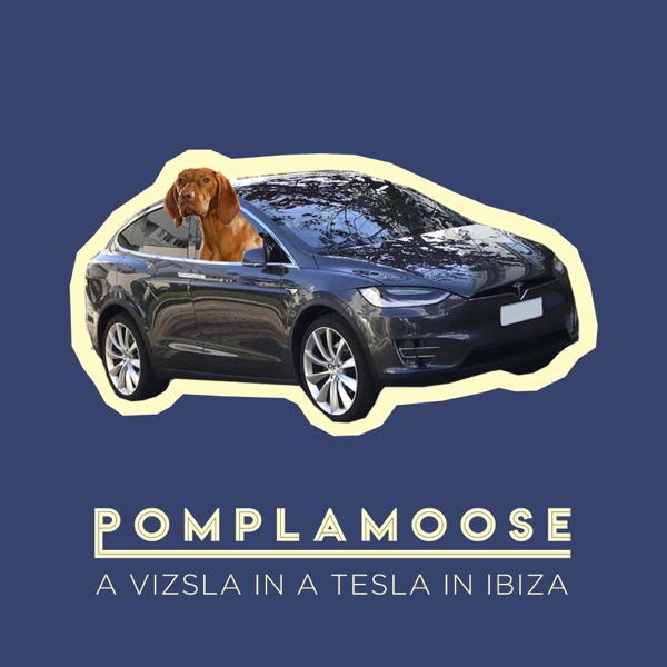 A Vizsla in a Tesla in Ibiza - Single album cover