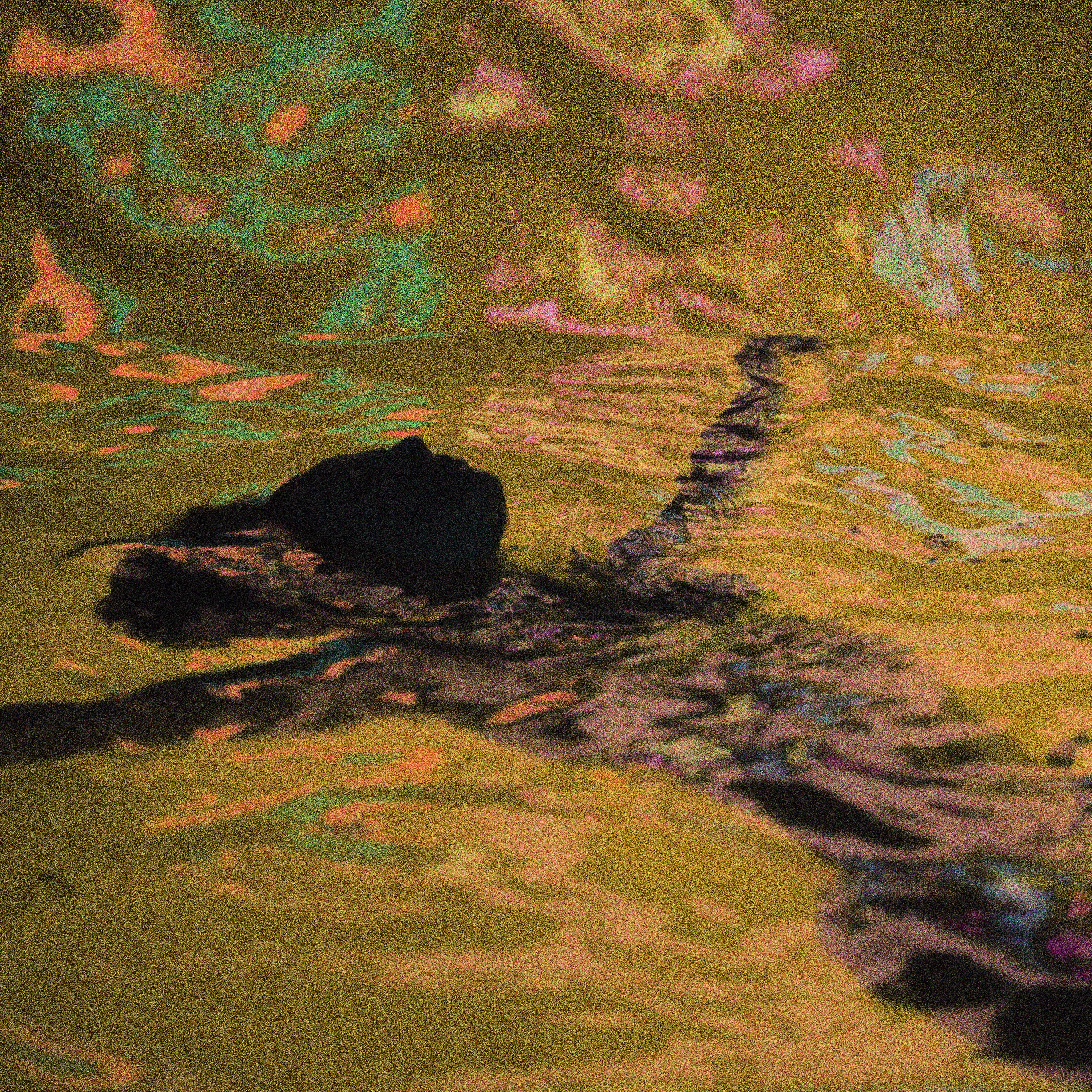 Joey - Single album cover