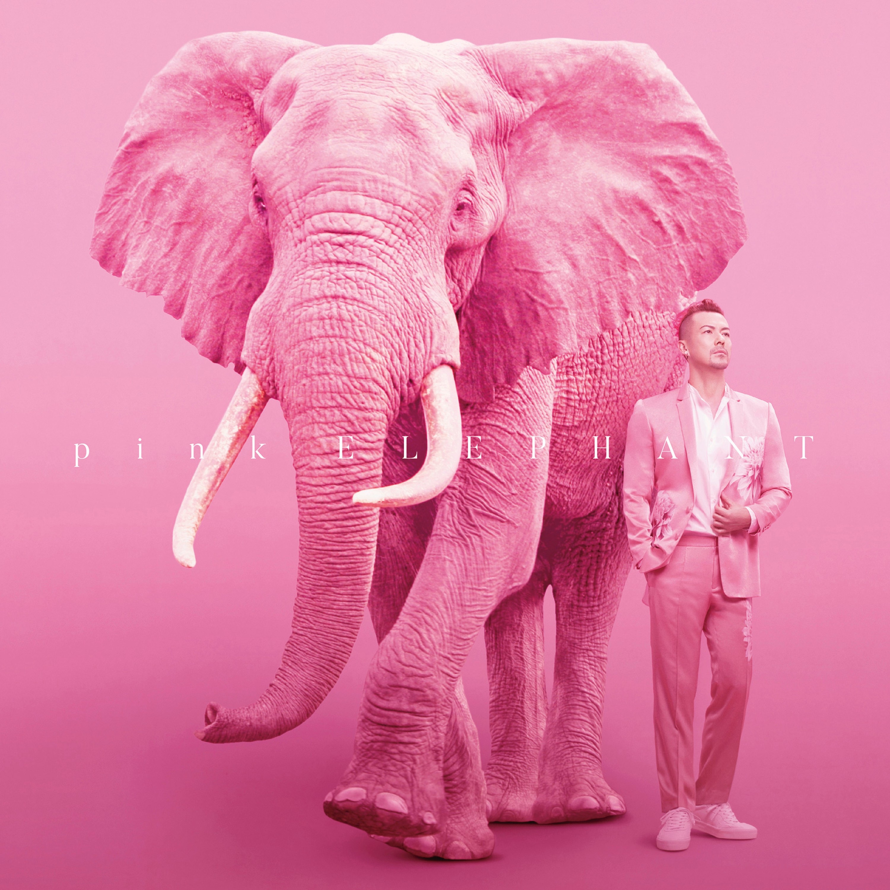 Pink Elephant album cover