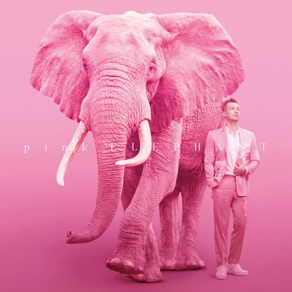 Pink Elephant album cover