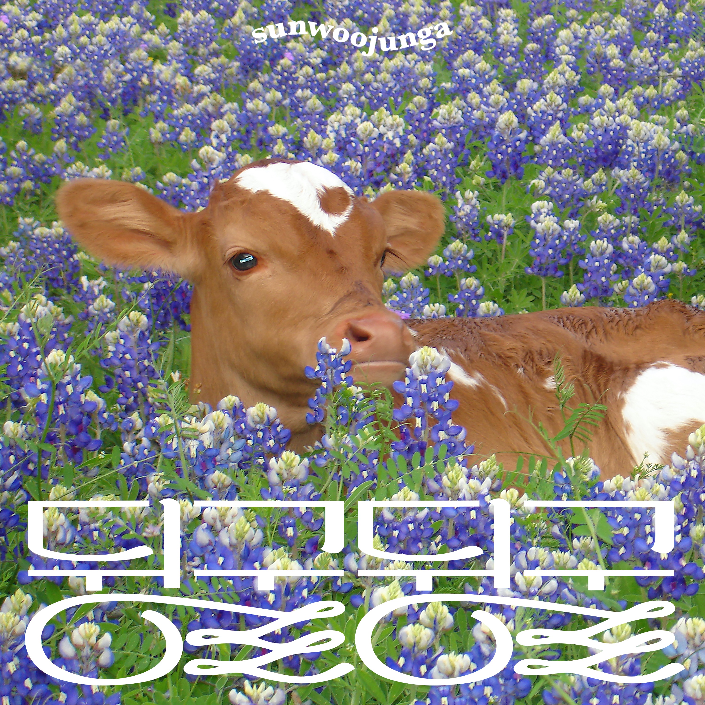 Idle Idle - Single album cover
