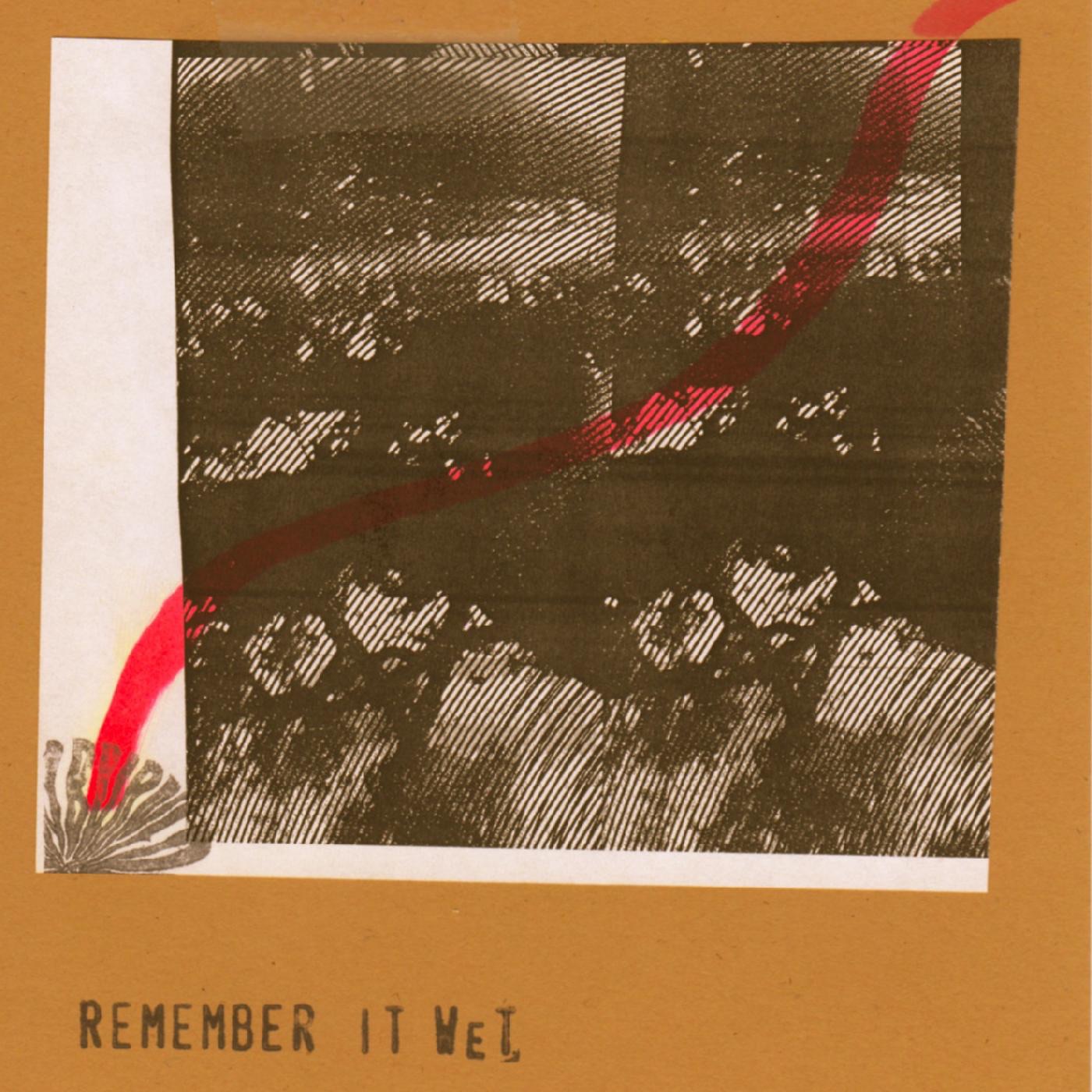 Remember It Wet album cover