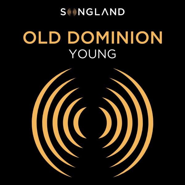 Young (From "Songland") - Single album cover