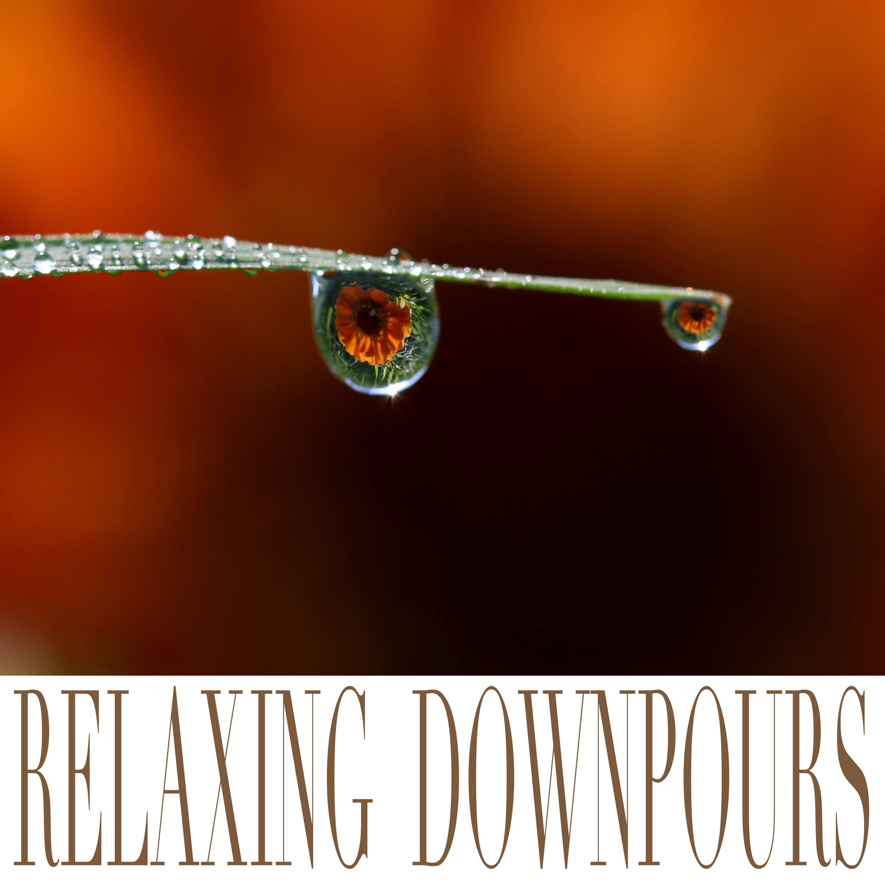 Relaxing Downpours album cover