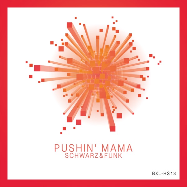 Pushin' Mama (Long Train Running) - Single album cover