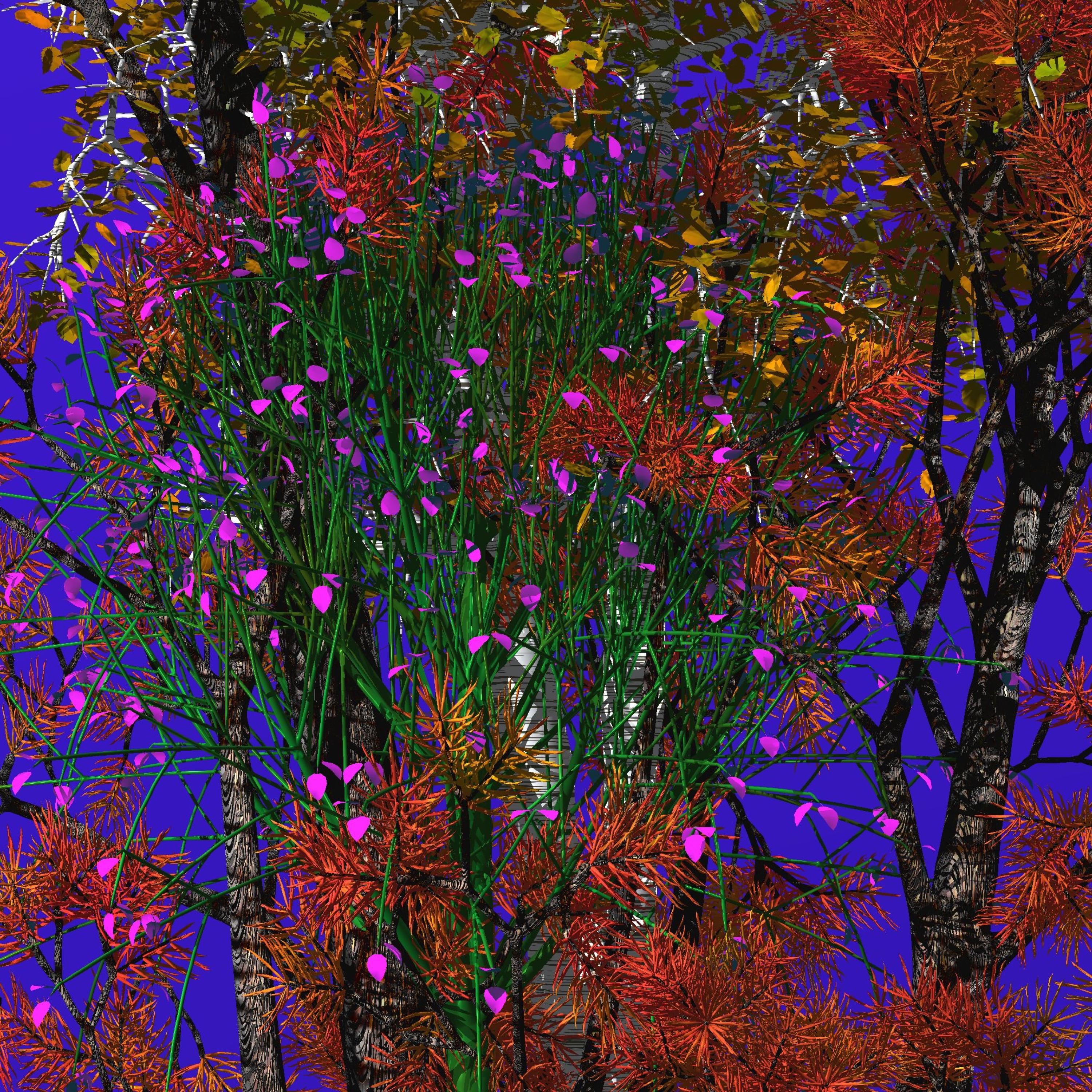 From the Root of Jesse Proceeds a Splendid Flower album cover