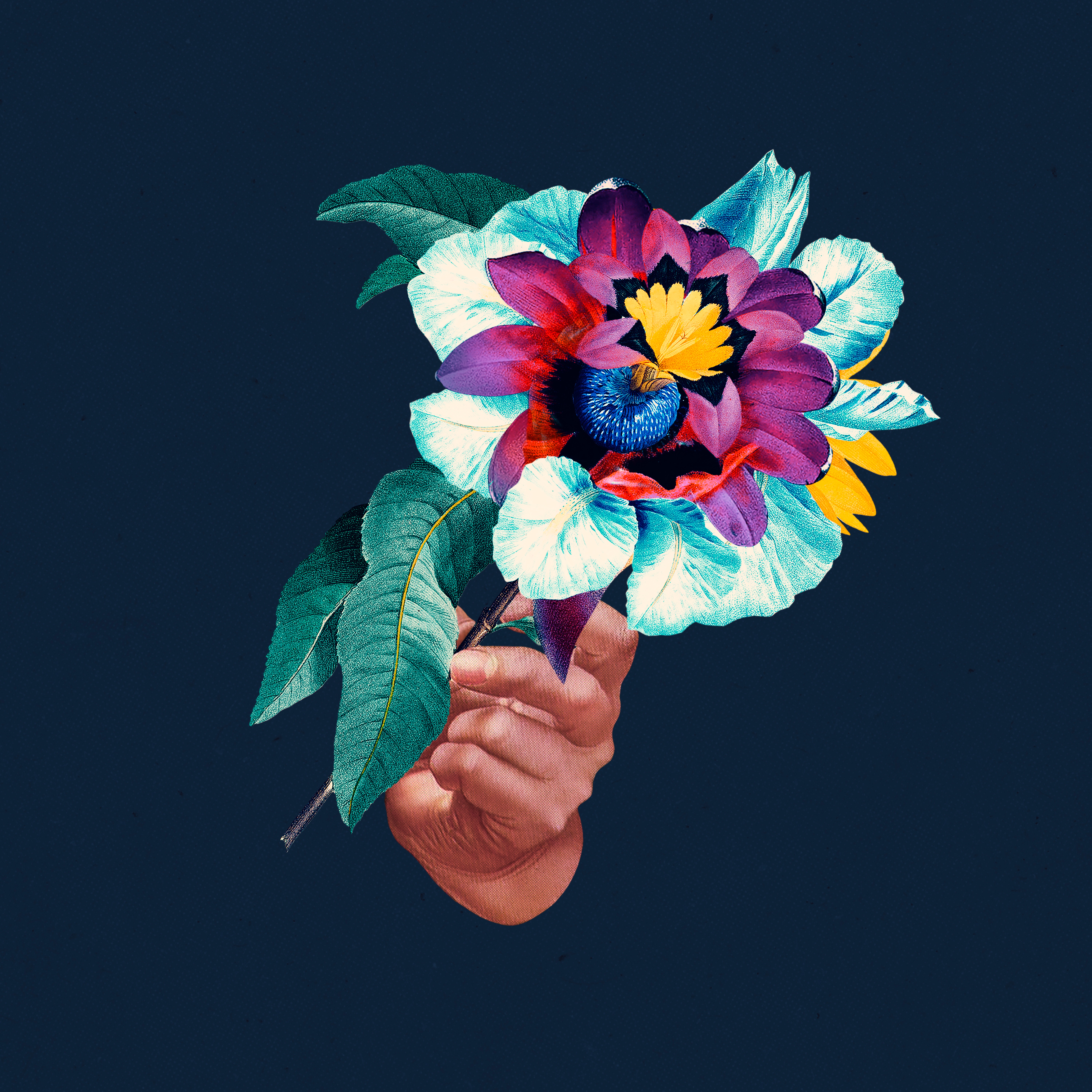 Kingdoms in Colour Remixed album cover