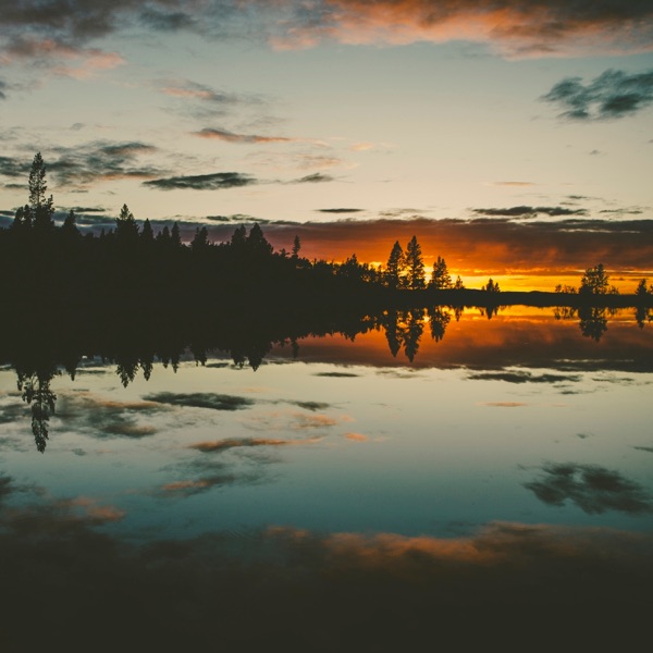 Hacia La Luz album cover