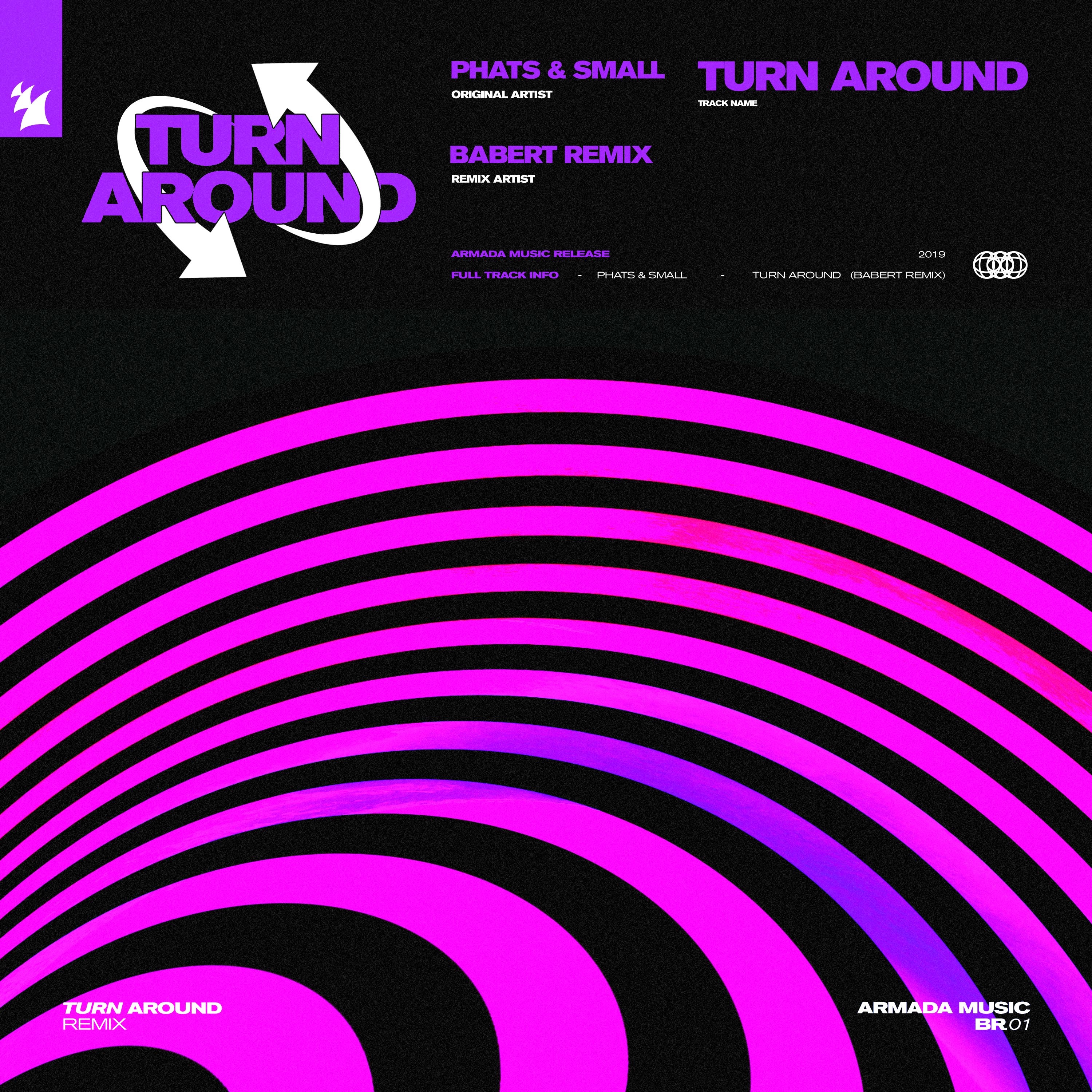 Turn Around (Hey What's Wrong With You) [Babert Remix]- Single album cover