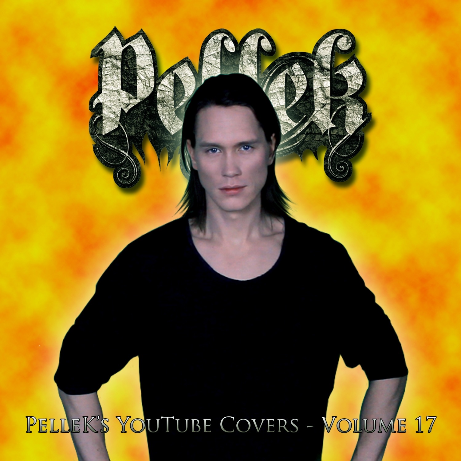 Covers, Vol. 17 album cover