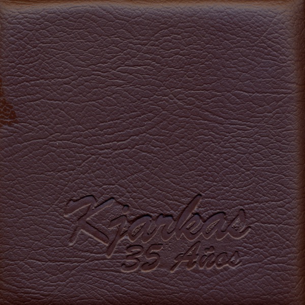 35 Años album cover