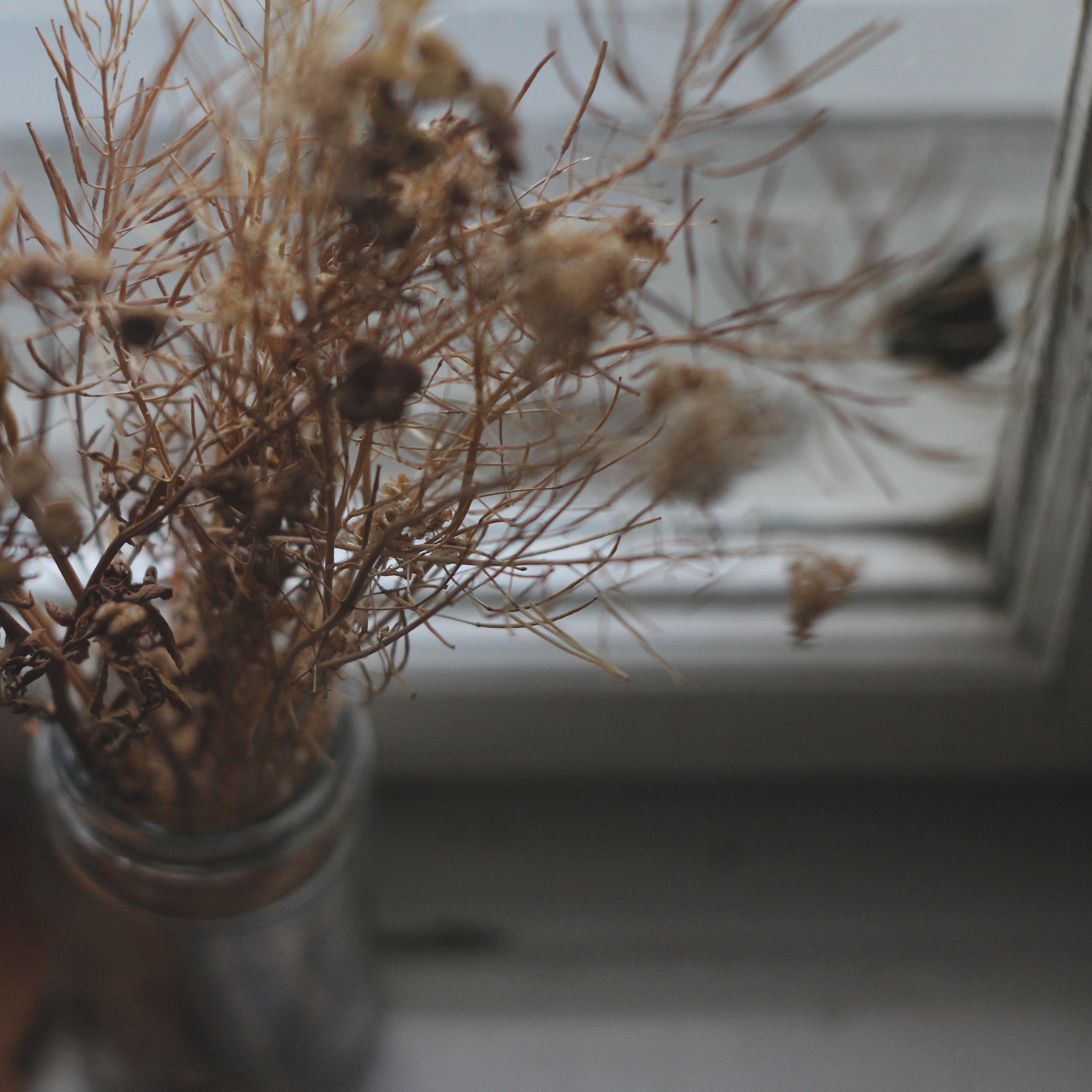 Neukölln - Single album cover