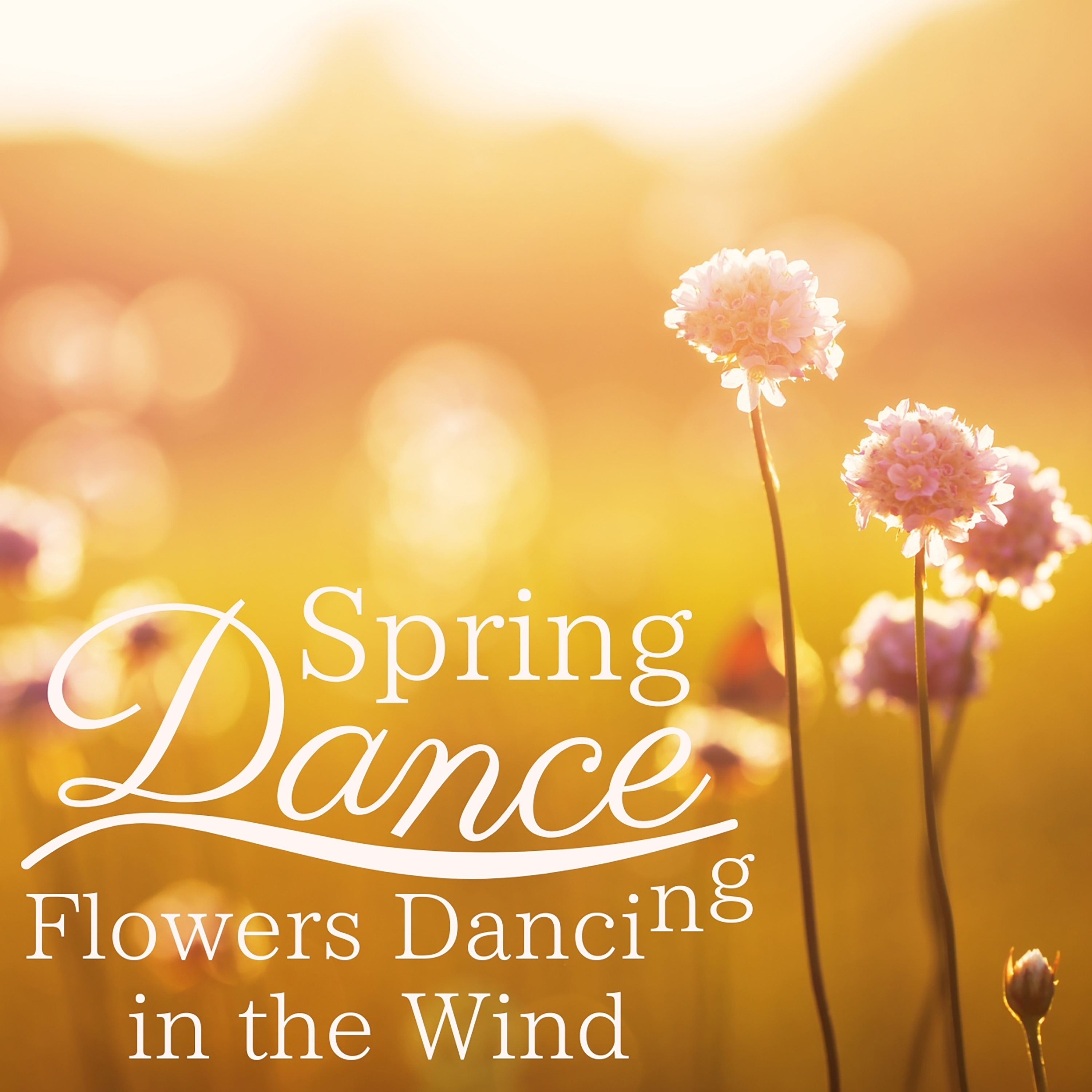 Spring Dance (Flowers Dancing in the Wind) album cover