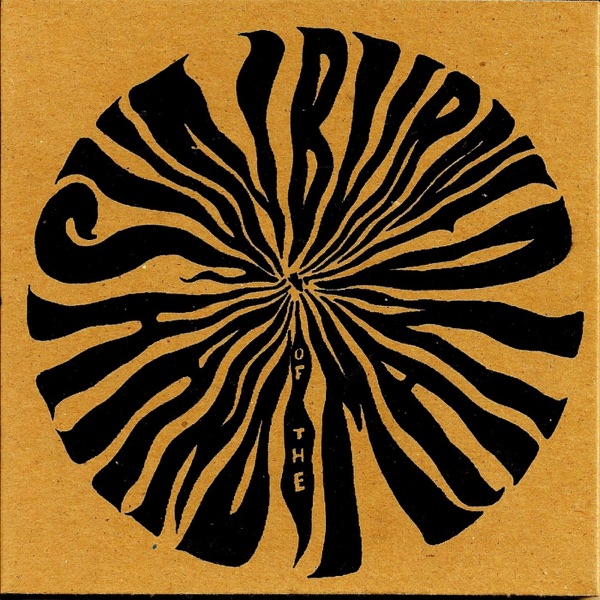 The Secret in Disguise album cover