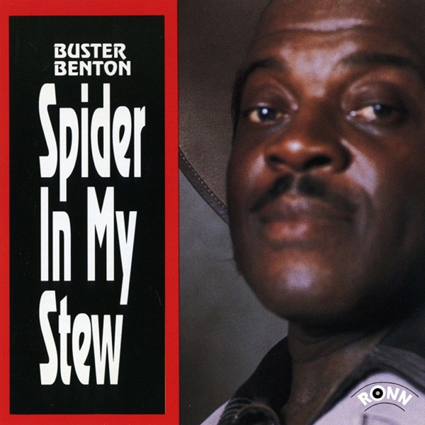 Spider in My Stew album cover