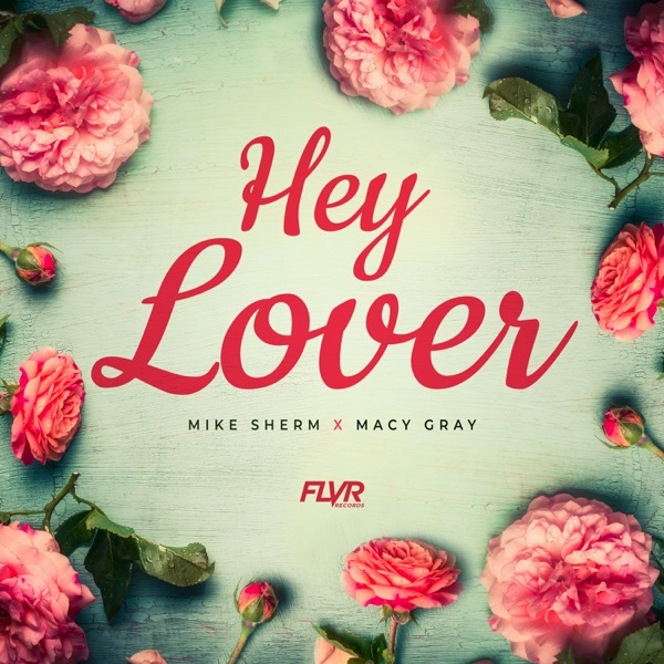 Hey Lover (feat. Macy Gray) - Single album cover