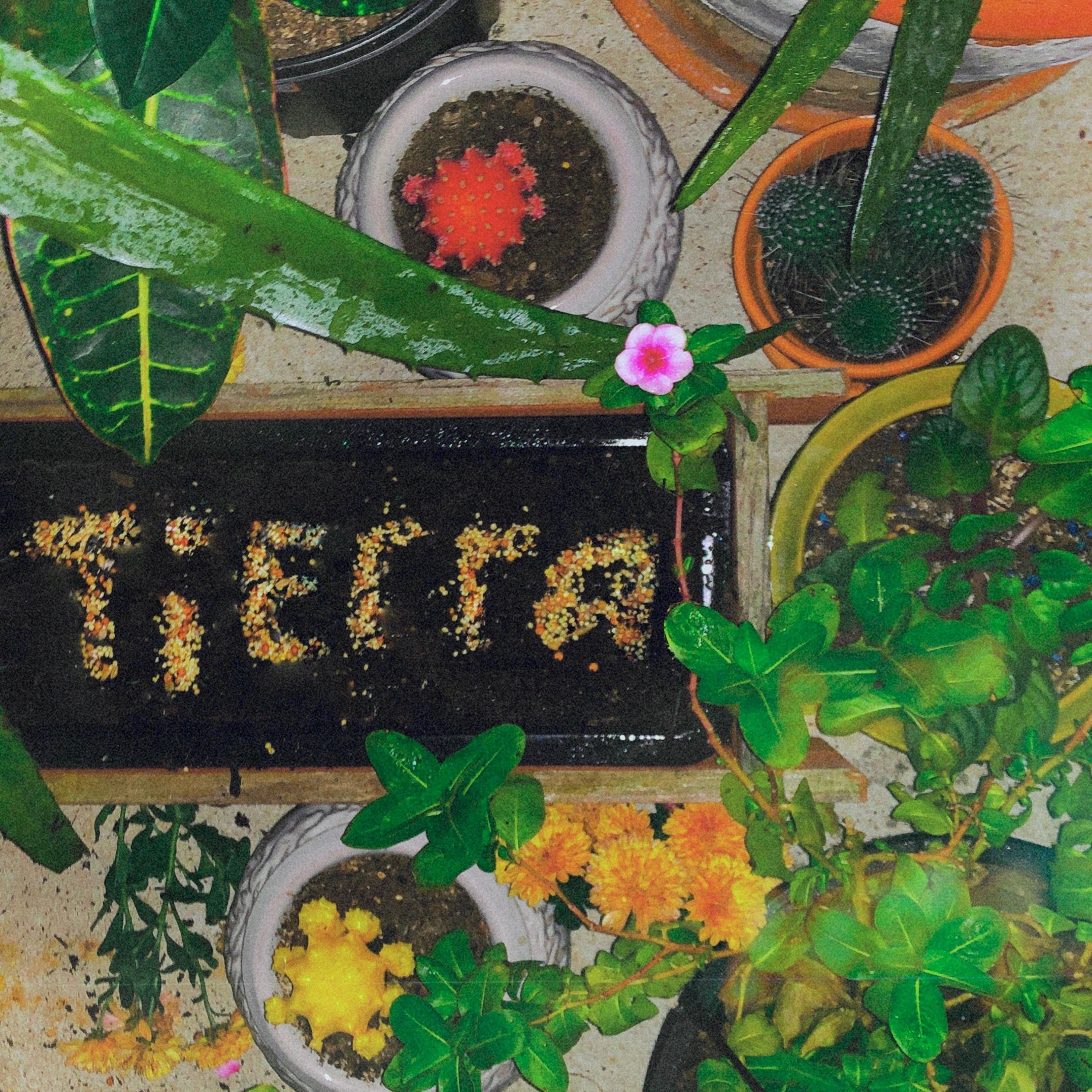 Tierra - Single album cover