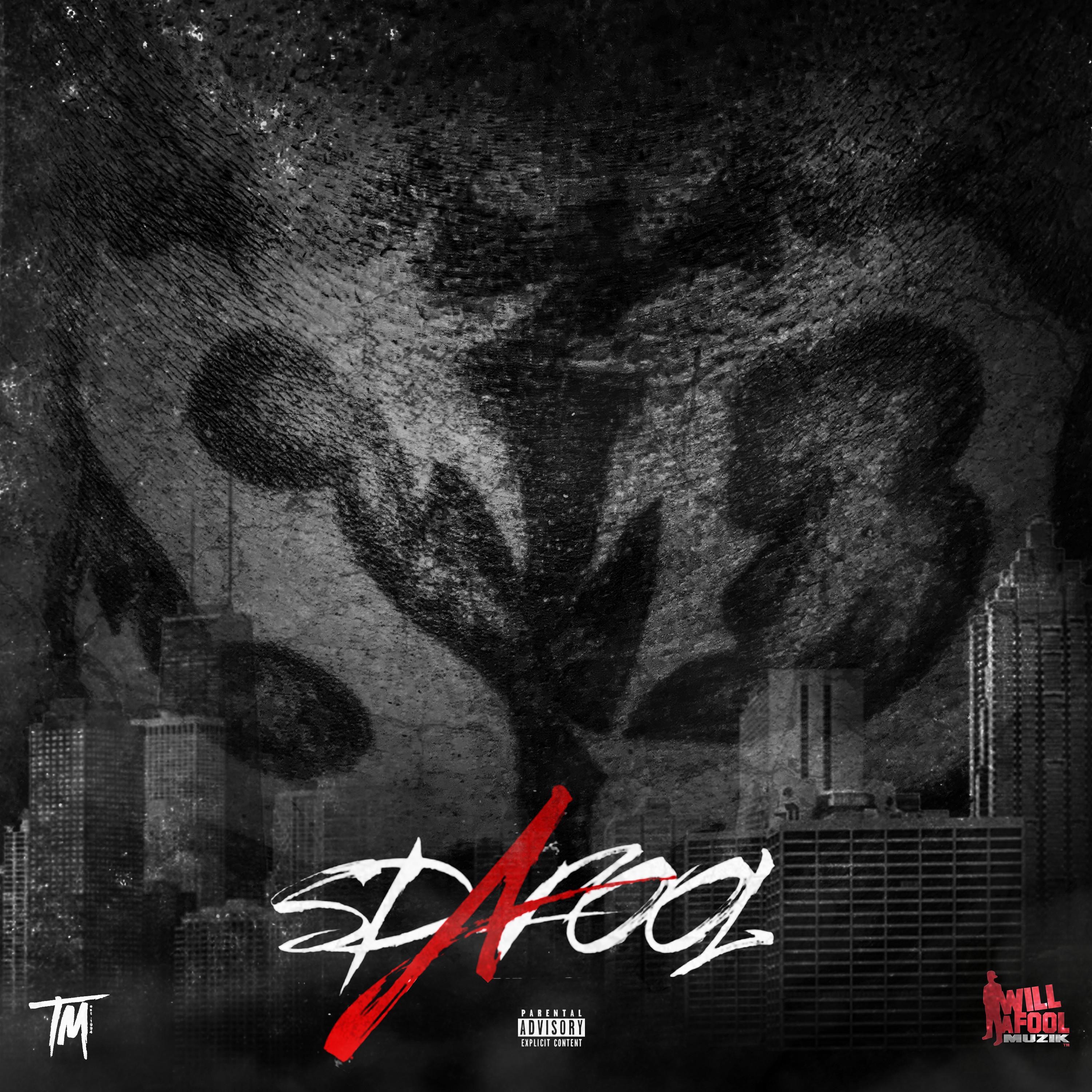 SD-A-Fool album cover