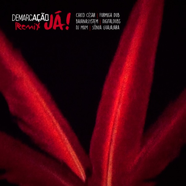 Demarcação Já Remix 3 (feat. Digitaldubs, Furmiga Dub & Sônia Guajajara) - Single album cover
