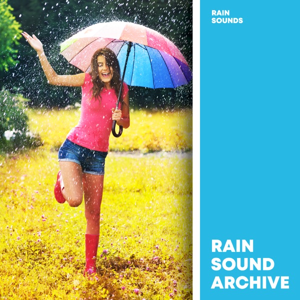 Rain Sound Archive album cover