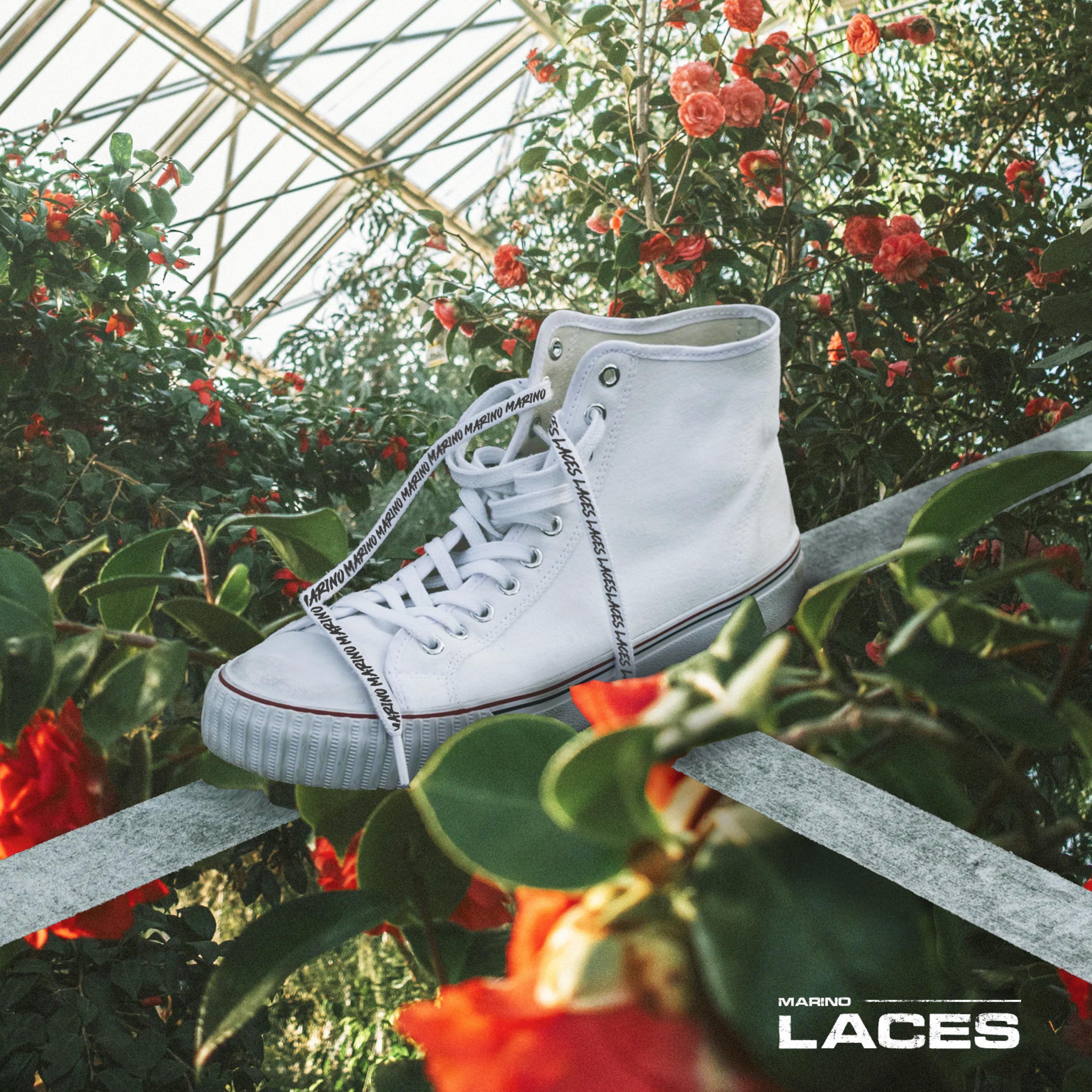 Laces - Single album cover
