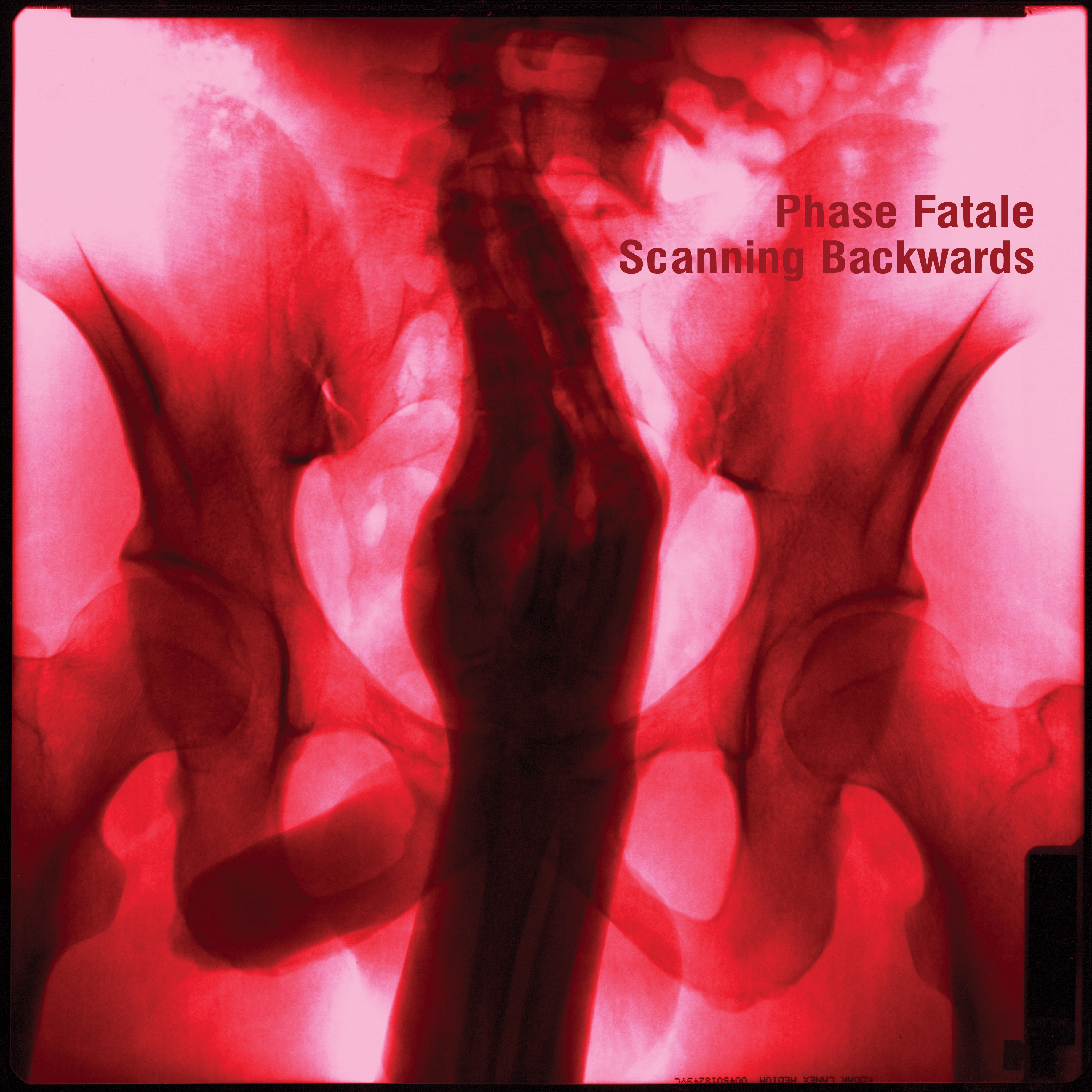 Scanning Backwards album cover