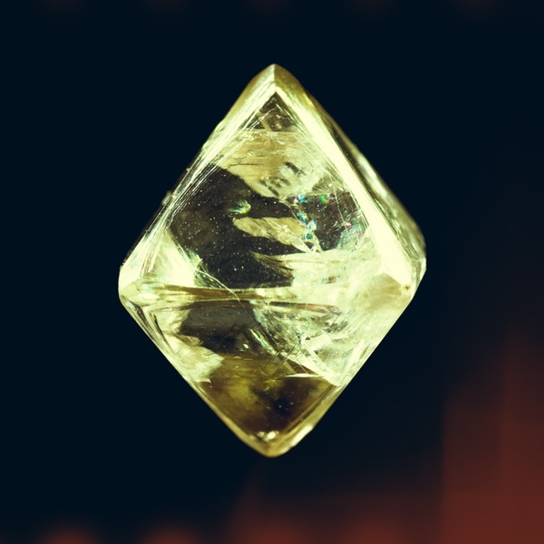 Perfect Enemy album cover