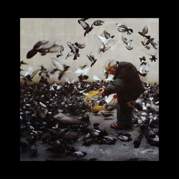 Free Yourself (You Know Where You Belong) - Single album cover