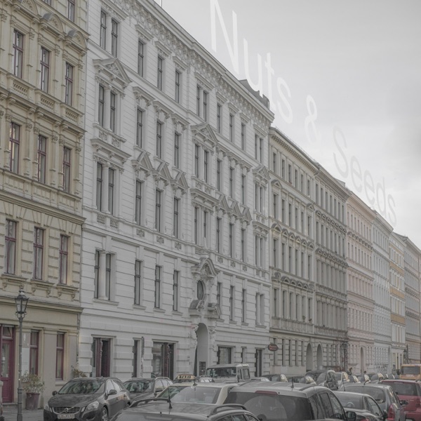 Nuts and Seeds - Single album cover