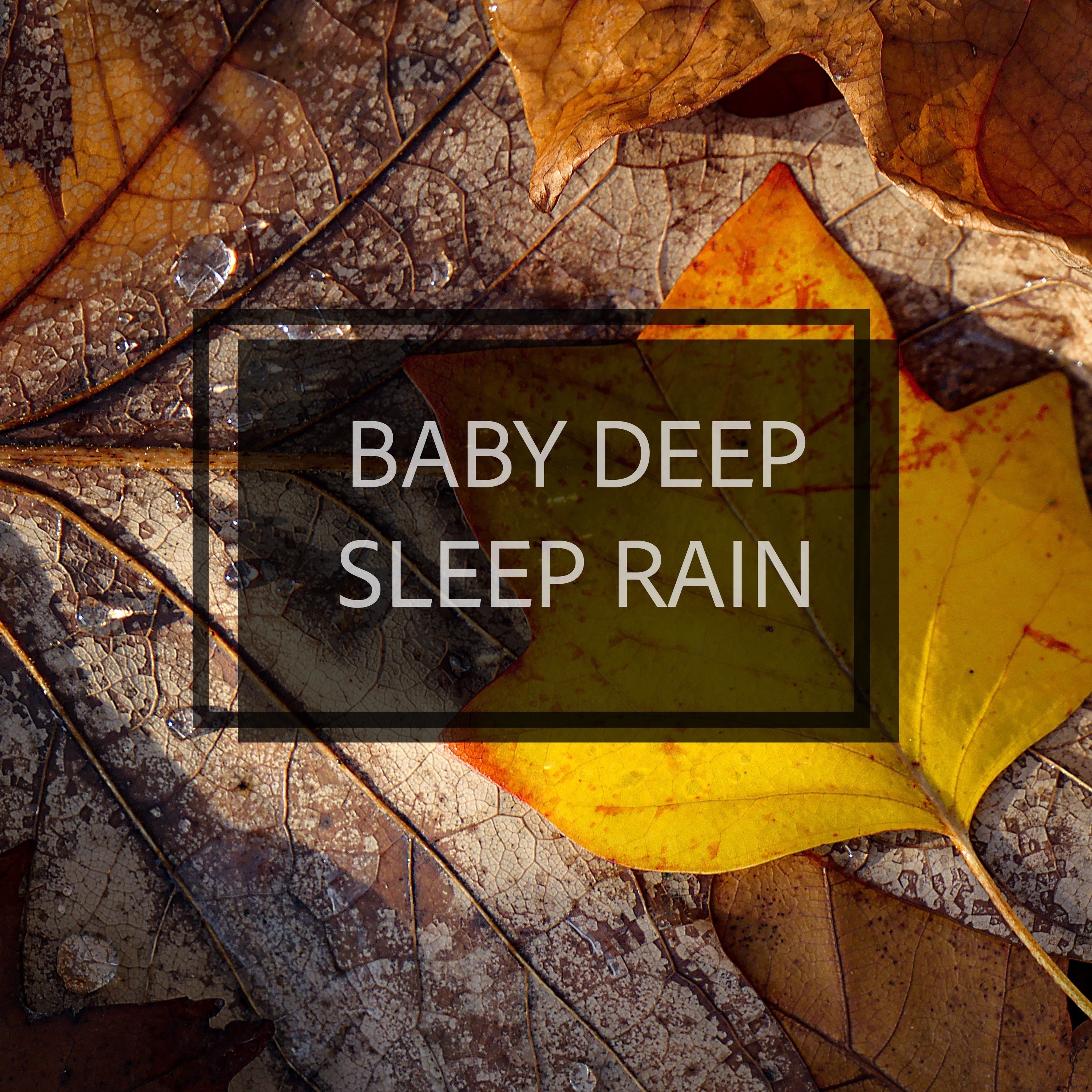Baby Deep Sleep Rain album cover