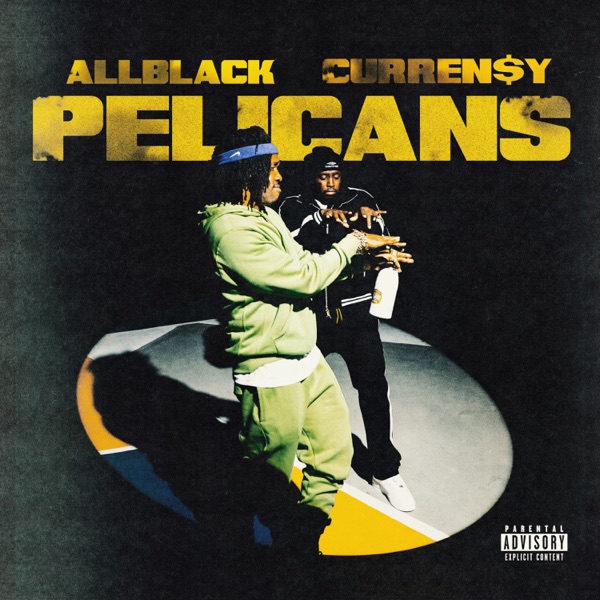 Pelicans - Single album cover