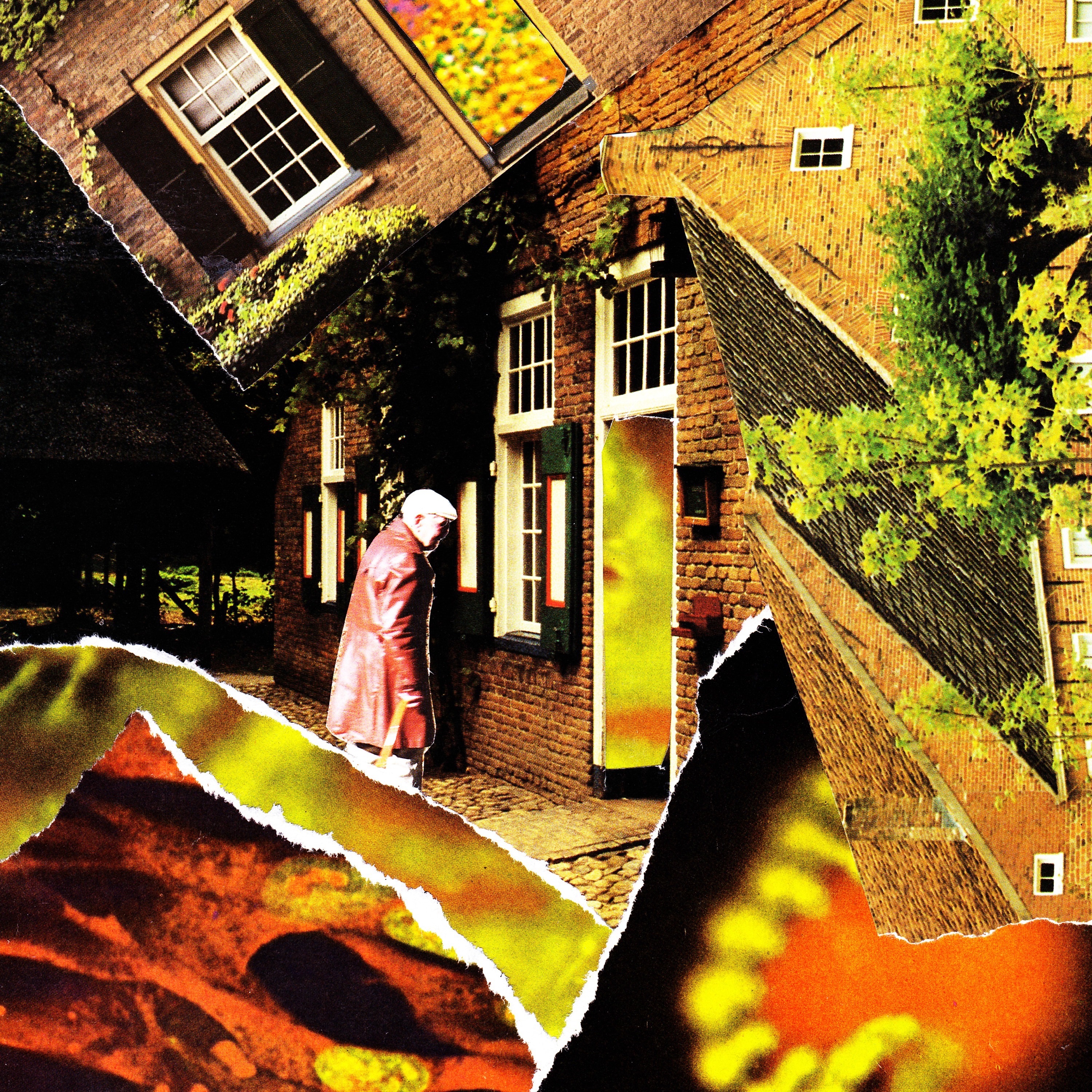 Blue Herons - Single album cover