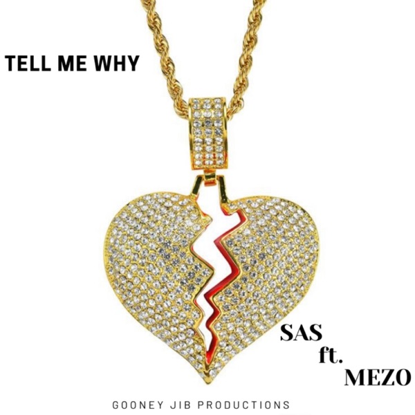 Tell Me Why (feat. Mezo) - Single album cover