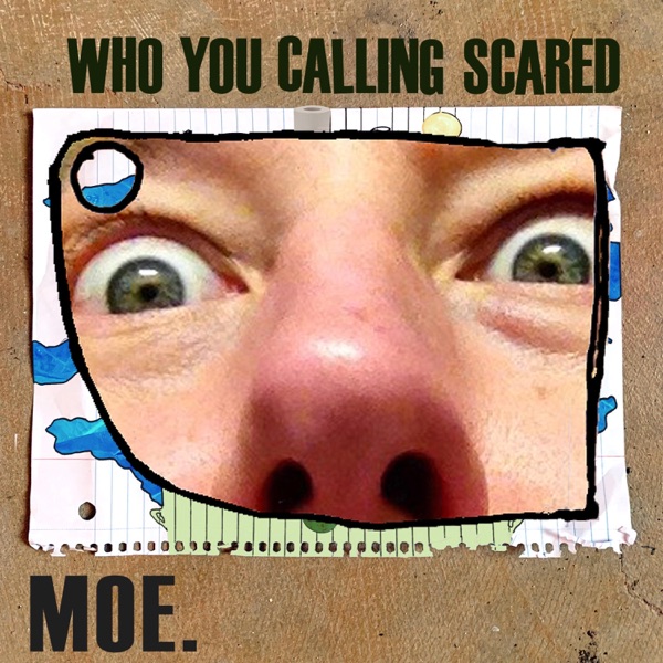 Who You Calling Scared - Single album cover