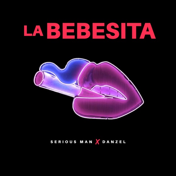 La Bebesita - Single album cover
