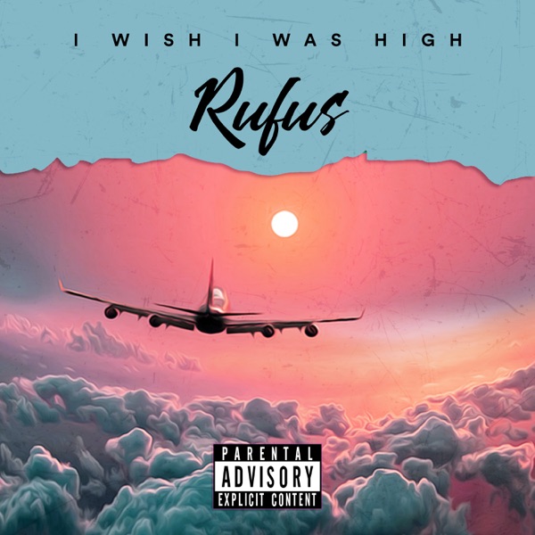 I Wish I Was High - Single album cover