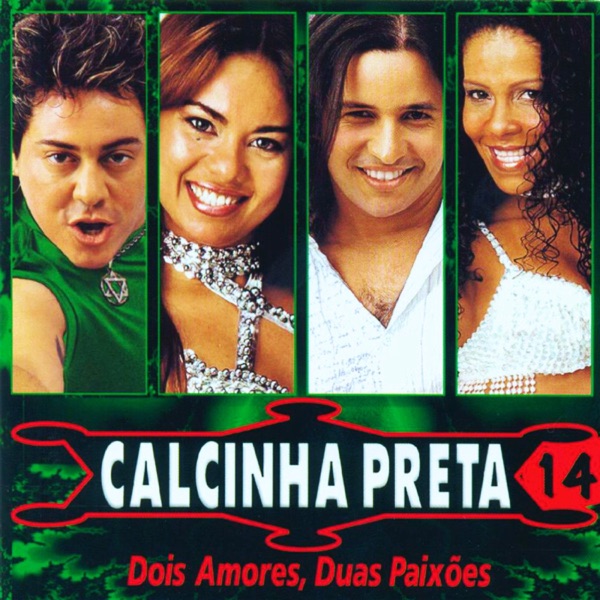 Dois Amores, Duas Paixões, Vol. 14 album cover