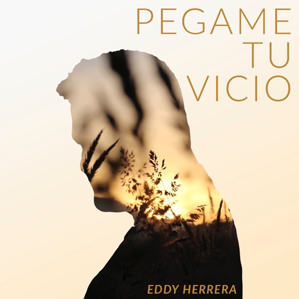 Pégame Tu Vicio album cover