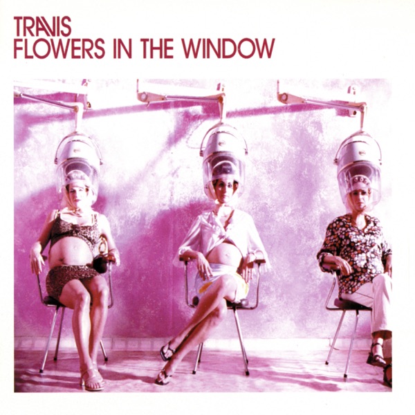 Flowers In The Window - Single album cover