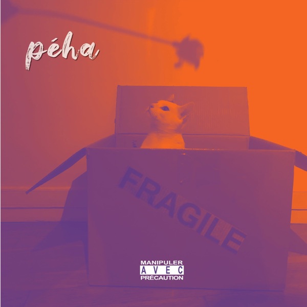 Fragile album cover