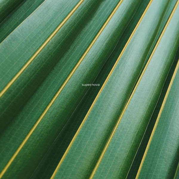 Supernova - Single album cover