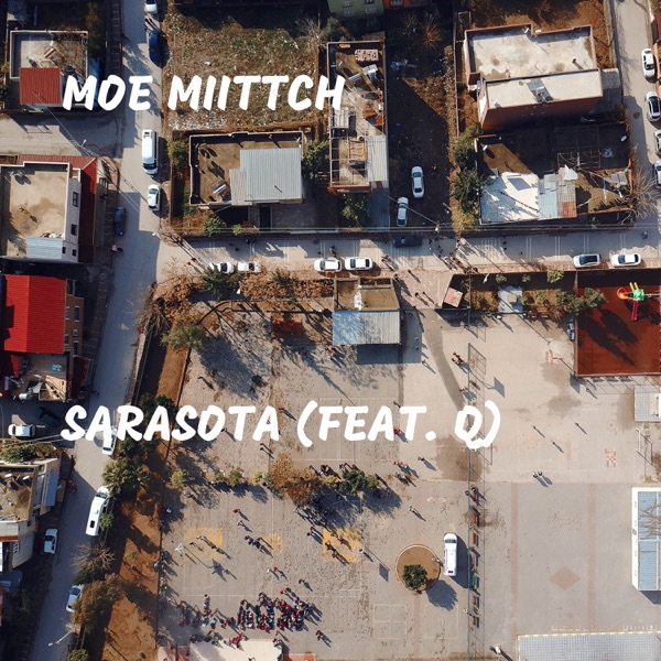 Sarasota (feat. Q) - Single album cover