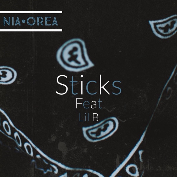 Sticks (Remix) [feat. Lil B] - Single album cover